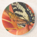 Butterfly on Lily Beverage Coasters