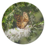 Butterfly on Moonah Flower Plates