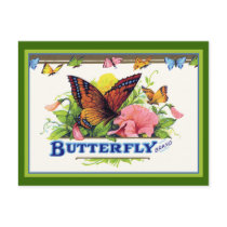 Butterfly on Petunias postcards by FRUITLOOPY Butterfly on Petunias postcards