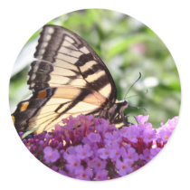 Butterfly on pink butterfly bush stickers