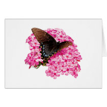 Butterfly on Pink Lantanas Greeting Cards