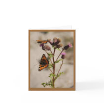Butterfly on Plant Note Card