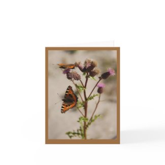 Butterfly on Plant Note Card card
