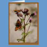Butterfly on Plant Note Card cards