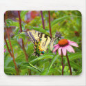 Butterfly on Purple Coneflower mousepads