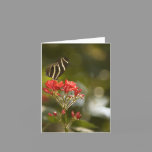 Butterfly on Royal Poinciana Blank Note Card