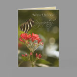 Butterfly on Royal Poinciana Sympathy Card