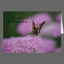 Butterfly on Sedum Card cards