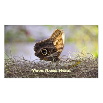 Butterfly on Spanish Moss Business Card Template