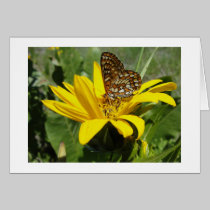 Butterfly on Sunflower cards by kabloo20 Butterfly on Sunflower cards