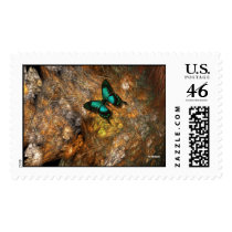 Butterfly On The Cactus postage