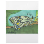 butterfly on Turquoise Letterhead