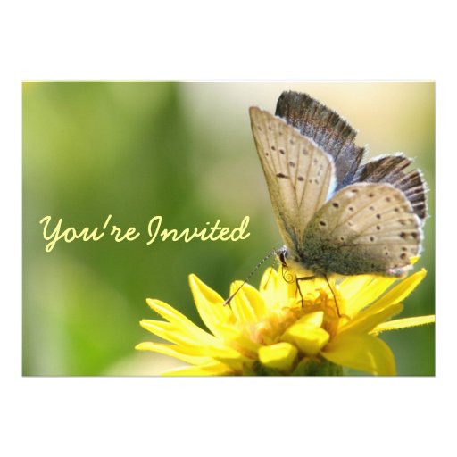 Butterfly on Yellow Flower Bridal Shower Invite