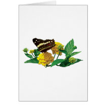 Butterfly on Yellow Lantana Cards