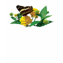 Butterfly onY ellow Lantana Ladies t-shirts by SusanSavad Butterfly onY ellow Lantana Ladies t-shirts