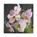 Butterfly Orchids - pink magnets by almedic104 Butterfly Orchids - pink magnets