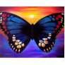 Butterfly Painting Art - Multi Photo Cut Outs