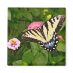 Butterfly Painting Magnet
