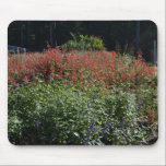 Butterfly Paradise mousepads