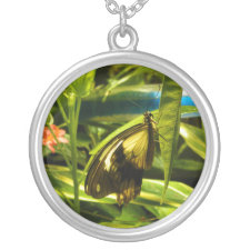 Butterfly Pendant necklace