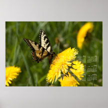 Butterfly Perch; 2013 Calendar Posters