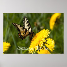 Butterfly Perch; Customizable Print