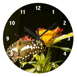 Butterfly Photo Clock