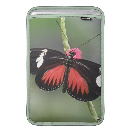 Butterfly Photo Design 11" MacBook Sleeve