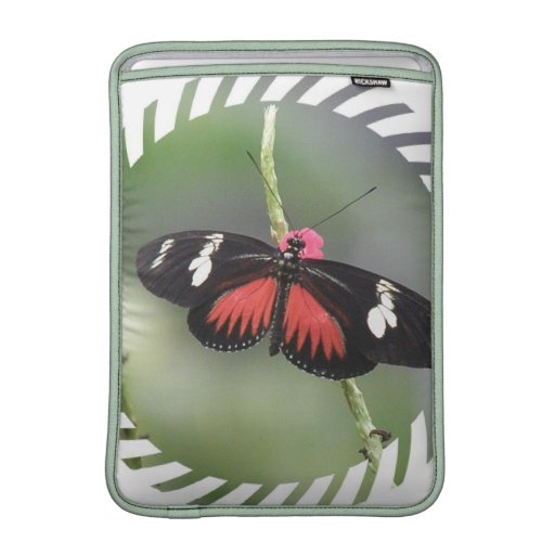 Butterfly Photo Design  13" MacBook Sleeve