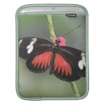 Butterfly Photo Design  iPad Sleeve