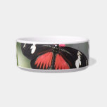 Butterfly Photo Design  Pet Bowl Cat Water Bowl