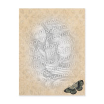 butterfly photo template postcards by HeartsinFocus butterfly photo template postcards