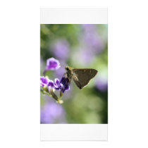 Butterfly Photo Greeting Card