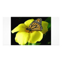 Butterfly Personalized Photo Card
