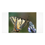 Butterfly Customized Photo Card