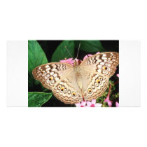 Butterfly Personalized Photo Card
