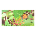 Butterfly Custom Photo Card