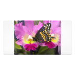 Butterfly Custom Photo Card