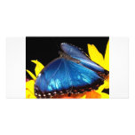 Butterfly Custom Photo Card