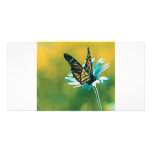 Butterfly Photo Greeting Card