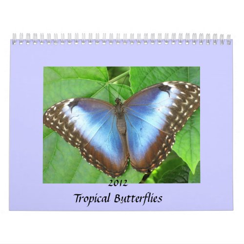 Butterfly Photographs 2012 Calendar calendar