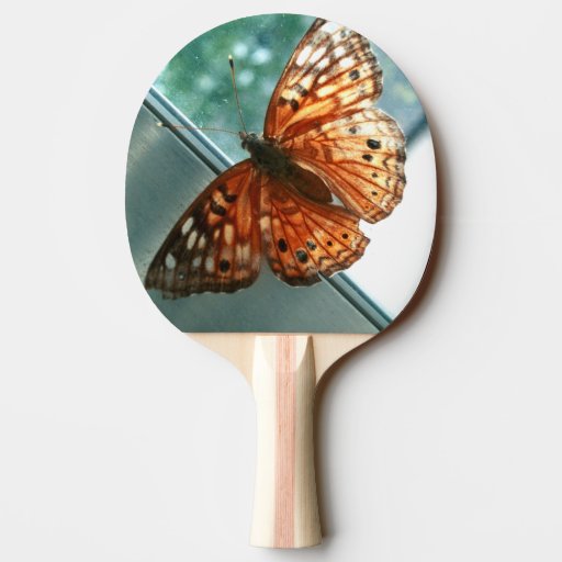 Butterfly Ping Pong Ball Paddle PingPong Paddle Zazzle