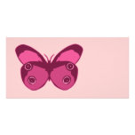 Butterfly Pinks