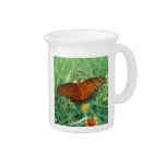 Butterfly Pitchers