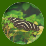 Butterfly Plate plates