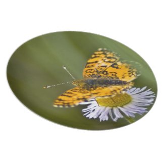 Butterfly Plate plate
