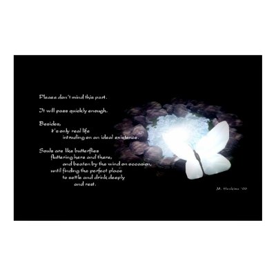 Butterfly Poem Posters by LilyWing