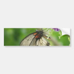 Butterfly Pollinating Bumper Sticker