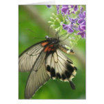 Butterfly Pollinating Greeting Card