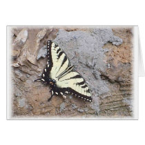 Butterfly Portrait cards